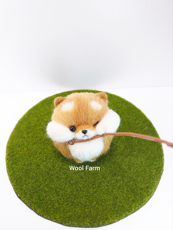 【受注生産】まんまる拒否柴犬　～Wool Farm～　羊毛フェルト 3枚目の画像