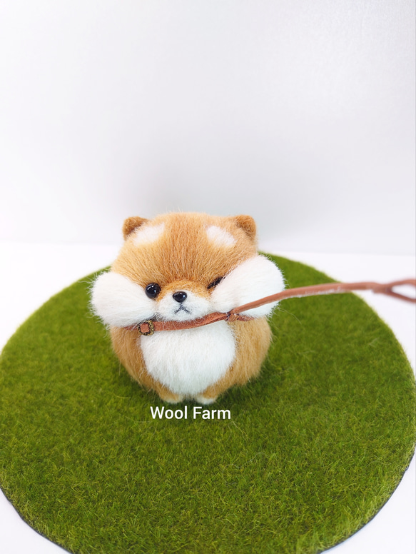 【受注生産】まんまる拒否柴犬　～Wool Farm～　羊毛フェルト 1枚目の画像