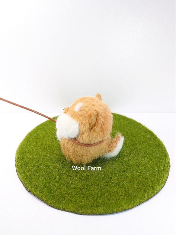 【受注生産】まんまる拒否柴犬　～Wool Farm～　羊毛フェルト 5枚目の画像