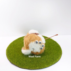 【受注生産】まんまる拒否柴犬　～Wool Farm～　羊毛フェルト 6枚目の画像