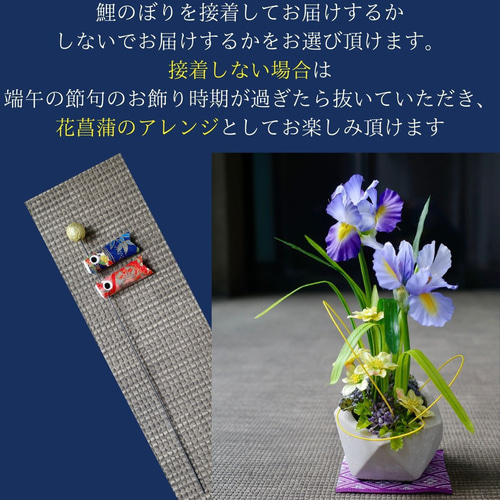 受注後制作商品】 菖蒲と鯉のぼりの和風アレンジメント 端午の節句