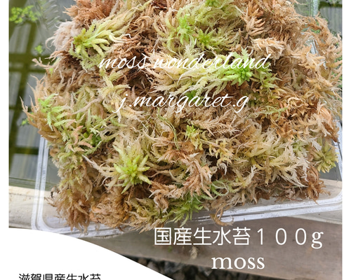 cfb948f11ab81be36db5ecf29a6b38