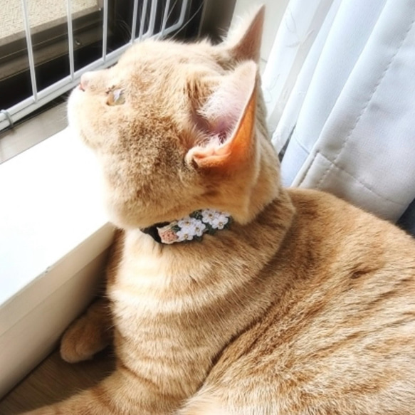 コデマリ　猫さんにやさしい首輪【かぎ針編み　猫の首輪　猫　首輪　セーフティバックル　アジャスター　国産毛糸　コットン】 7枚目の画像