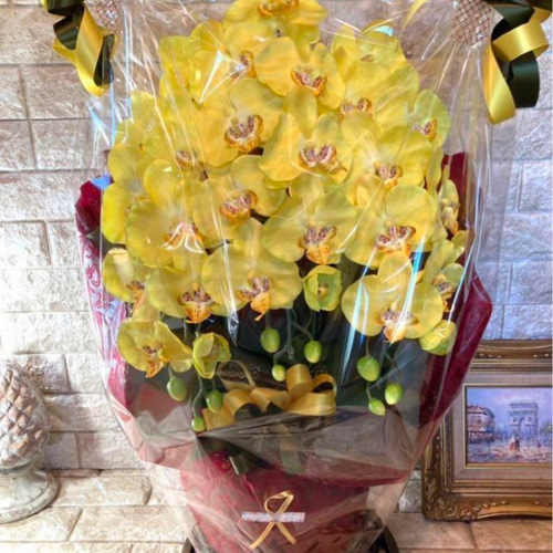 光触媒 人工観葉植物 ウォールグリーン フェイクグリーン 胡蝶蘭y72500