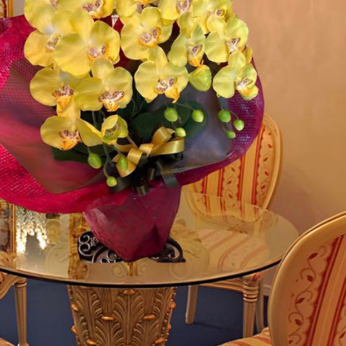 光触媒 人工観葉植物 ウォールグリーン フェイクグリーン 胡蝶蘭y72500