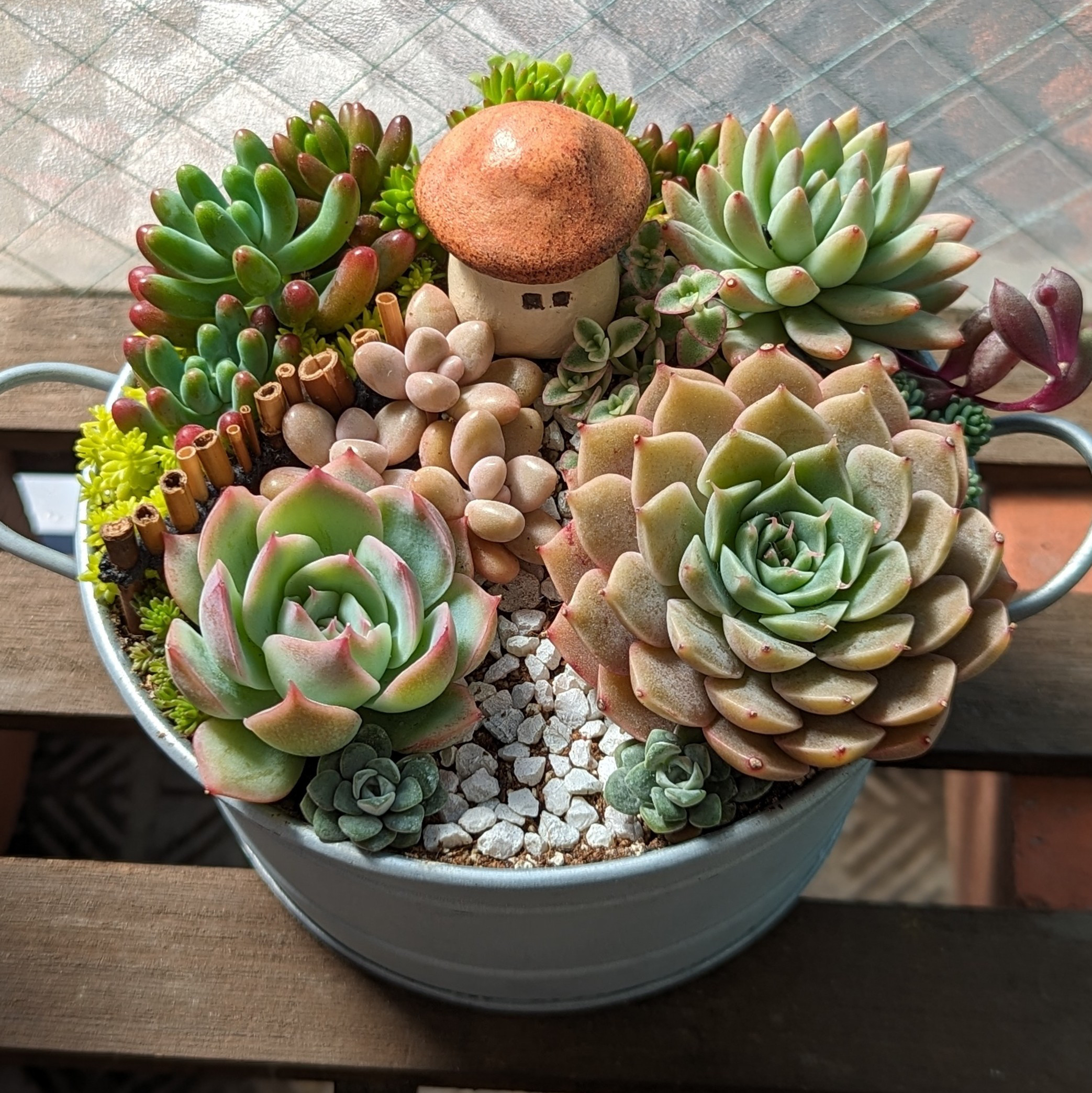 多肉植物　箱庭 多肉植物箱庭風寄せ植えM - atelier HanaMoMiji | minne byGMO