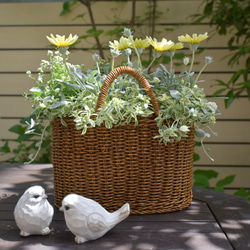 ユーカリポポラス フレッシュ30〜45センチ10本 その他インテリア雑貨