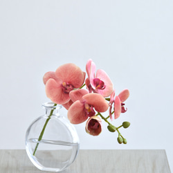 咲き続けるコチョウラン(サンセットオレンジ＋クリアガラス)　マジカルウォーター　癒しのフラワーインテリア 4枚目の画像