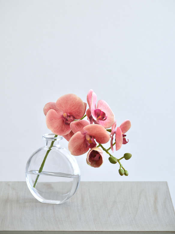 咲き続けるコチョウラン(サンセットオレンジ＋クリアガラス)　マジカルウォーター　癒しのフラワーインテリア 4枚目の画像