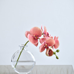咲き続けるコチョウラン(サンセットオレンジ＋クリアガラス)　マジカルウォーター　癒しのフラワーインテリア 2枚目の画像