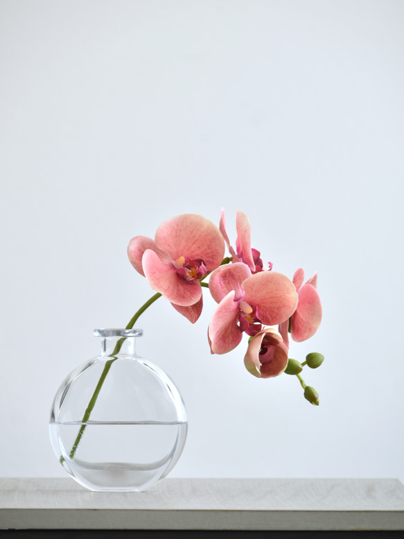 咲き続けるコチョウラン(サンセットオレンジ＋クリアガラス)　マジカルウォーター　癒しのフラワーインテリア 3枚目の画像