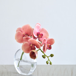 咲き続けるコチョウラン(サンセットオレンジ＋クリアガラス)　マジカルウォーター　癒しのフラワーインテリア 5枚目の画像