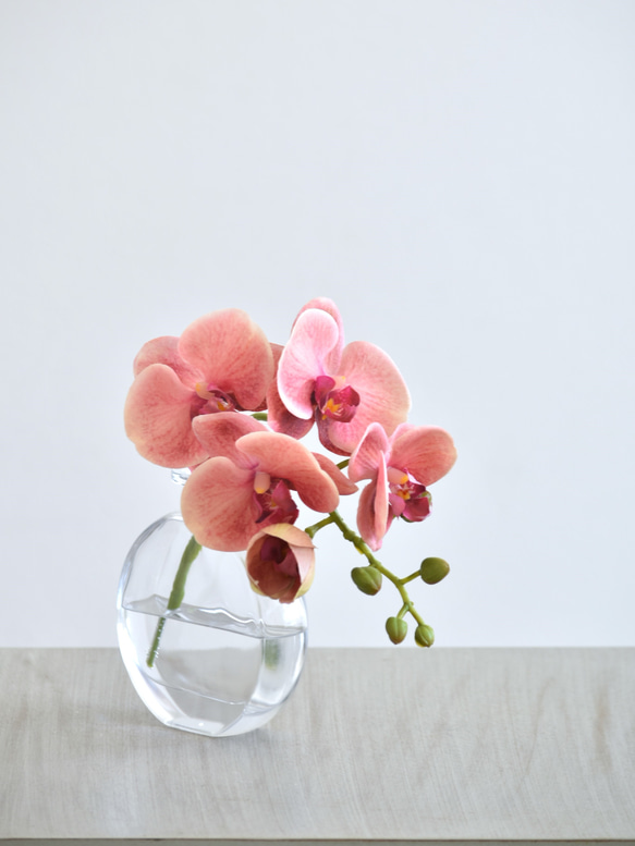 咲き続けるコチョウラン(サンセットオレンジ＋クリアガラス)　マジカルウォーター　癒しのフラワーインテリア 5枚目の画像