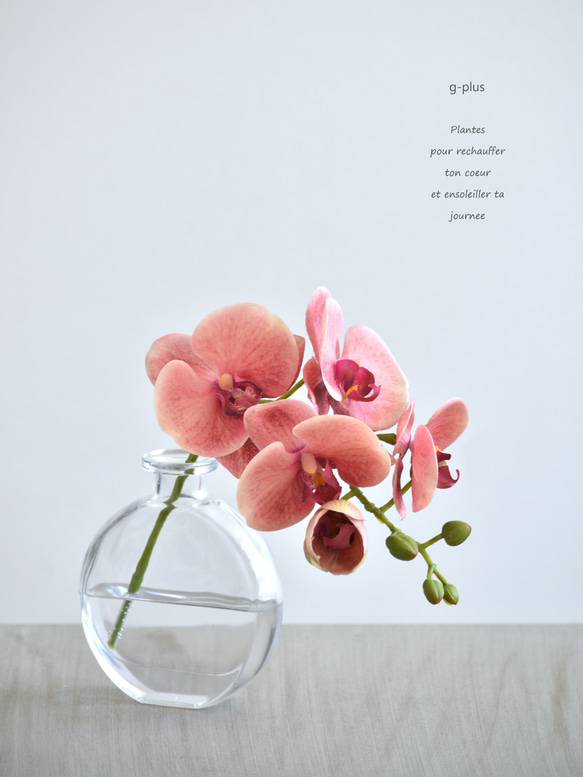 咲き続けるコチョウラン(サンセットオレンジ＋クリアガラス)　マジカルウォーター　癒しのフラワーインテリア 1枚目の画像