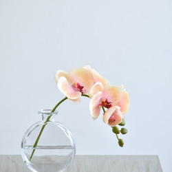 咲き続けるコチョウラン(ピーチ＋クリアガラス)　マジカルウォーター　癒しのフラワーインテリア 2枚目の画像