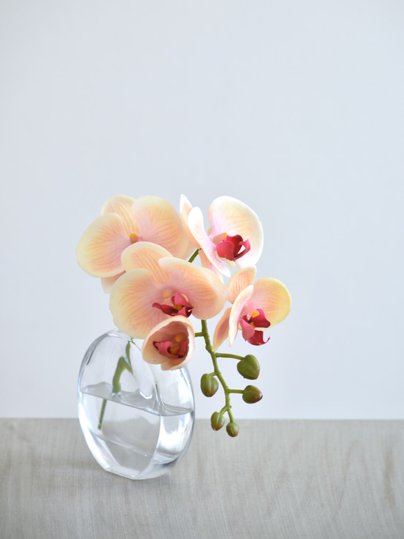 咲き続けるコチョウラン(ピーチ＋クリアガラス)　マジカルウォーター　癒しのフラワーインテリア 5枚目の画像