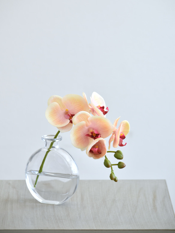 咲き続けるコチョウラン(ピーチ＋クリアガラス)　マジカルウォーター　癒しのフラワーインテリア 4枚目の画像