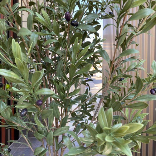 光触媒 人工観葉植物 ウォールグリーン フェイクグリーン 室外用