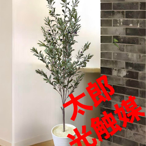 光触媒 人工観葉植物 抗菌消臭 ウォールグリーン オーガスタ12060 抱き合っ 