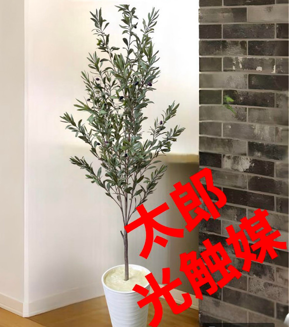 光触媒 人工観葉植物 ウォールグリーン フェイクグリーン 室外用 光触媒 人工観葉植物 ウォールグリーン フェイクグリーン 室外用