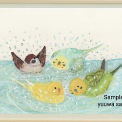 インコポストカード3枚  『水浴びインコたち』 2枚目の画像