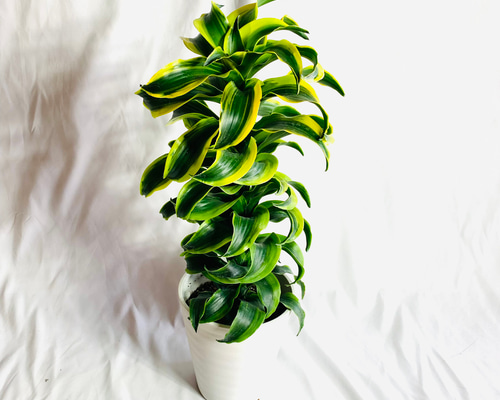 f9b38469a20ca6b88eb2396d2a71e8