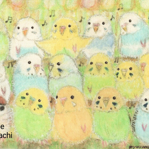 インコポストカード3枚 『帰省中インコ(インコたちの集合記念