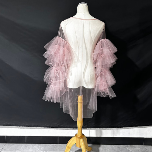 送料無料！フェミニンなフレームレースの袖トップス + ソフトチュール