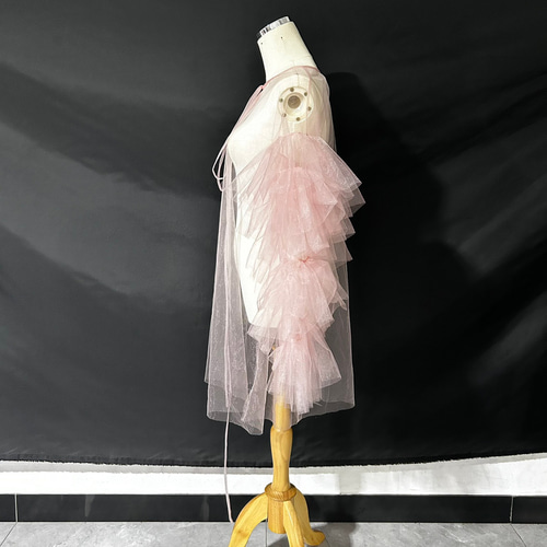 送料無料！フェミニンなフレームレースの袖トップス + ソフトチュール