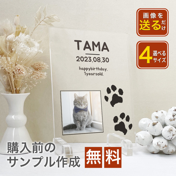 A50 ペットデザイン　ペット用 足形 スタンプ キット 犬 猫 足型 肉球スタンプ 足形作成キット にくきゅう　足あと 1枚目の画像