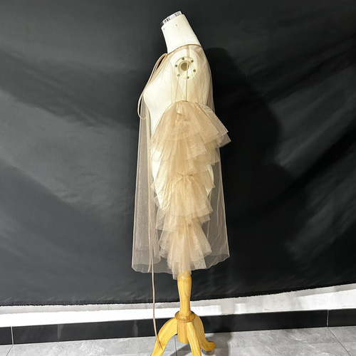 送料無料！フェミニンなフレームレースの袖トップス + ソフトチュール  