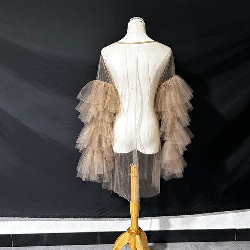 送料無料！フェミニンなフレームレースの袖トップス + ソフトチュール  