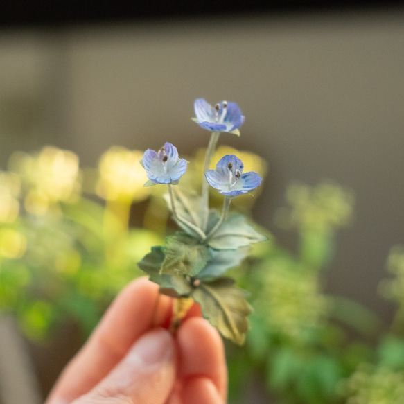 オオイヌノフグリ の 布花 ブローチ 9枚目の画像