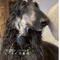 犬 首輪 高級イタリアンレザー ハンドメイド縫製  長い首に最適形状 毛損ねず 柔らかく繊細 7枚目の画像