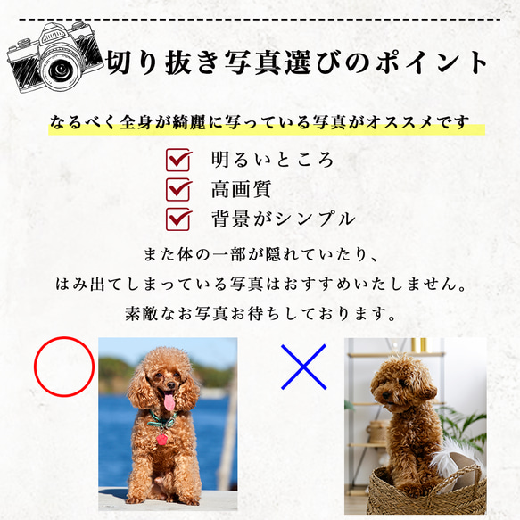 A48 【名入れ無料】 贈り物　動物　はむすたー　写真　写真たて　フォト　フレーム　アクリル　記念品　オーダー　うちの子 5枚目の画像