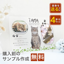 A48 【名入れ無料】 贈り物　動物　はむすたー　写真　写真たて　フォト　フレーム　アクリル　記念品　オーダー　うちの子 1枚目の画像