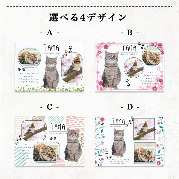 A48 【名入れ無料】 贈り物　動物　はむすたー　写真　写真たて　フォト　フレーム　アクリル　記念品　オーダー　うちの子 4枚目の画像