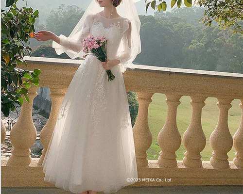 【美品】ウェディングドレス / 結婚式 / 前撮り / 二次会 0fdcae5955c74182e4f9de9bcdb33d