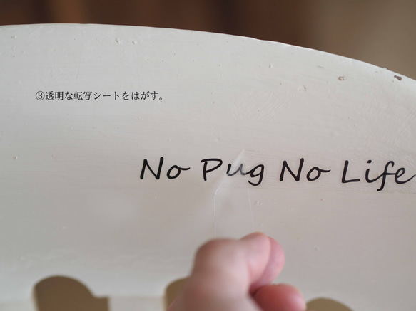 転写ステッカー　「Ｎｏ　Ｐｕｇ　Ｎｏ　Ｌｉｆｅ 」 １枚 5枚目の画像