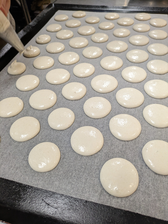 卵、乳製品、小麦不使用　マカロン詰め合わせ（バニラ味）☆贈り物におすすめ 人気・おすすめ｜使いやすい・旅行におすすめ 品質保証 全国発送 在庫限り