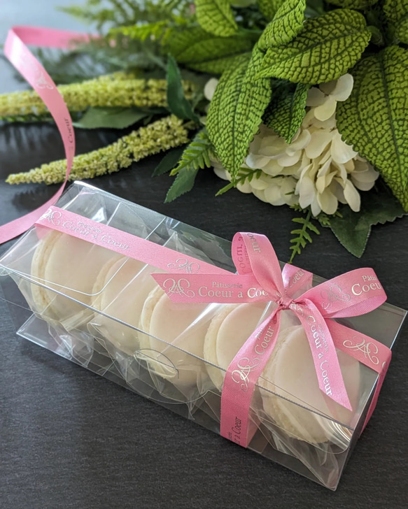 卵、乳製品、小麦不使用　マカロン詰め合わせ（バニラ味）☆贈り物におすすめ 人気・おすすめ｜使いやすい・旅行におすすめ 品質保証 全国発送 在庫限り