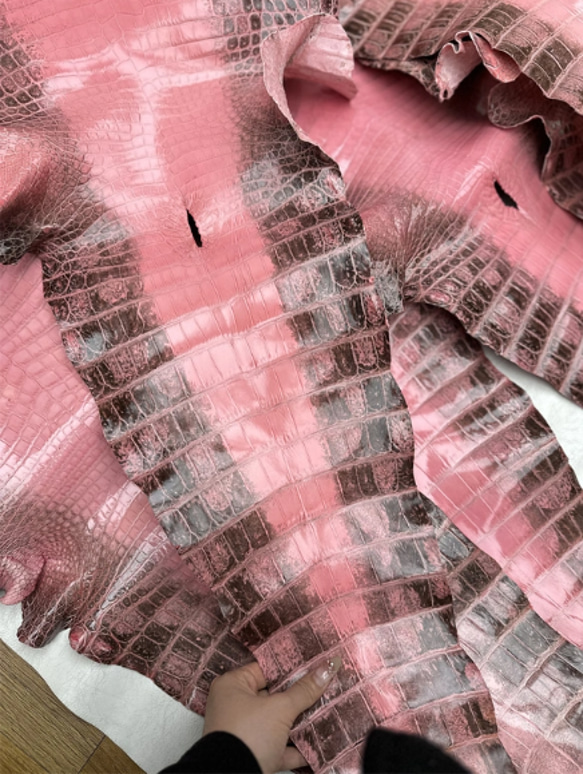 ヒマラヤワニ革 横37cm ナイル クロコダイル 天然素材 レザークラフト手細工 財布 バッグ用 ハンドメイド 手作り 1枚目の画像