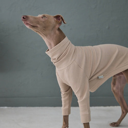 Waffle Turtleneck Shirts -Beige ミニピン/イタグレ/トイマン ペット