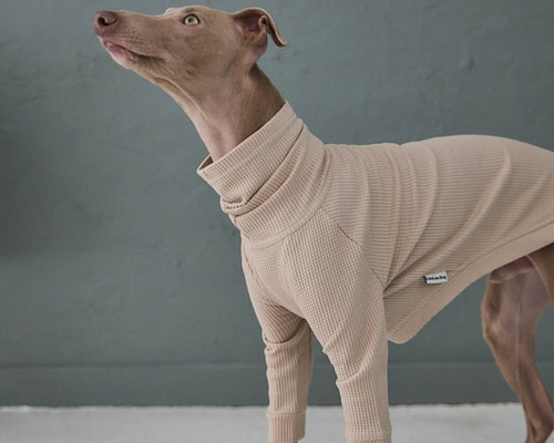 47ae9fbd889e2ed3ebf02b1f03e649