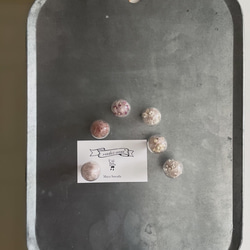 ガラスドームのマグネット glass dome specimen magnet 6枚目の画像