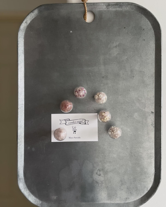 ガラスドームのマグネット glass dome specimen magnet 6枚目の画像
