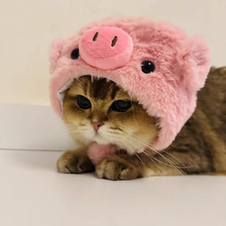 可愛い猫犬　ワンチャン　ニャーチャン　ペット用　豚帽子 3枚目の画像