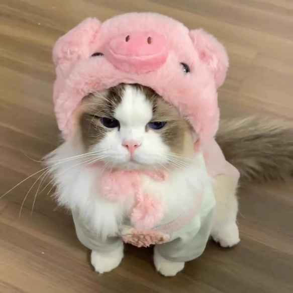 可愛い猫犬　ワンチャン　ニャーチャン　ペット用　豚帽子 1枚目の画像