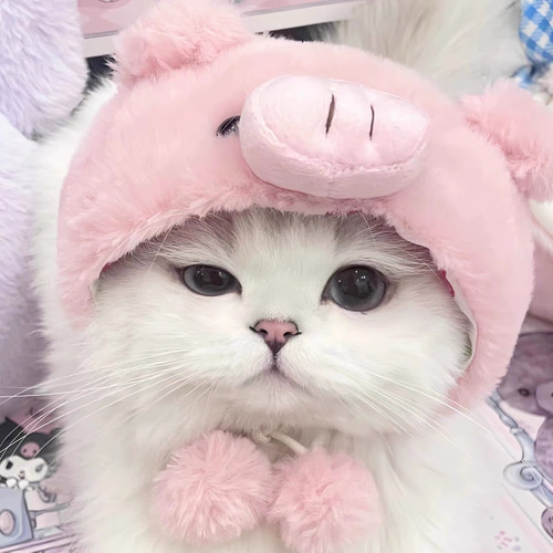 大人気の 可愛い猫犬 ペット服 豚帽子 ペット用 ニャーチャン ワンチャン 首輪・ハーネス・迷子札