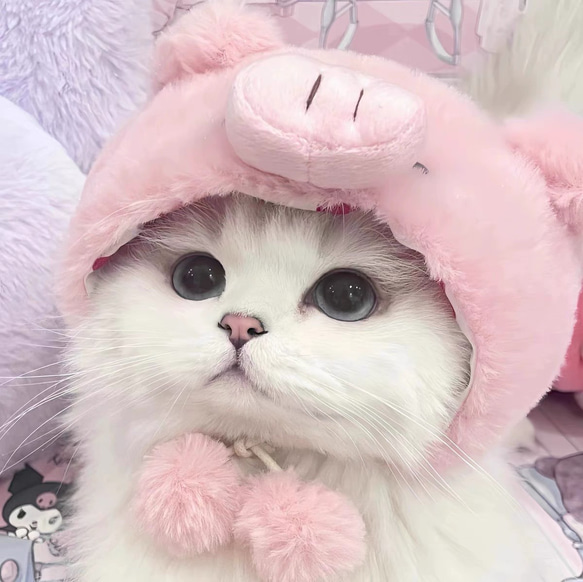 可愛い猫犬　ワンチャン　ニャーチャン　ペット用　豚帽子 5枚目の画像